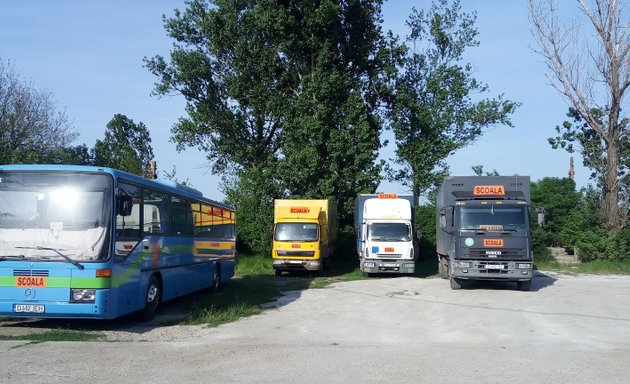 Process Pen pal Abundantly Școli de șoferi în apropiere de mine în Dolj - Nicelocal.ro